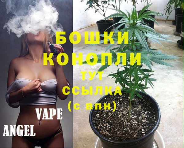 PSILOCYBIN Армянск