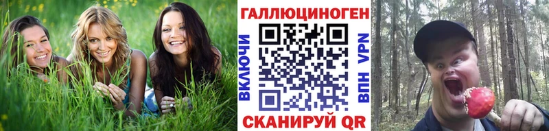 Псилоцибиновые грибы GOLDEN TEACHER  наркотики  Сыктывкар 